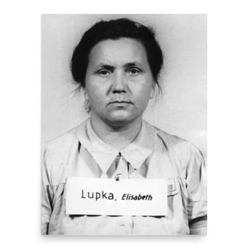 Elisabeth Lupka poster print, in size 18x24 inches.