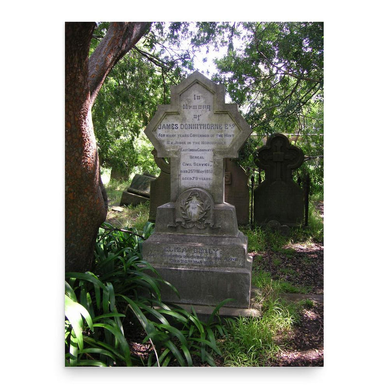 Eliza Emily Donnithorne poster print, in size 18x24 inches.