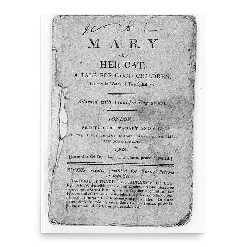 Eliza Fenwick poster print, in size 18x24 inches.