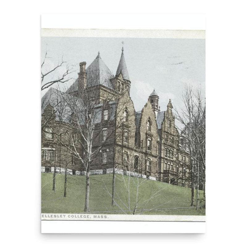 Eliza Newkirk Rogers poster print, in size 18x24 inches.