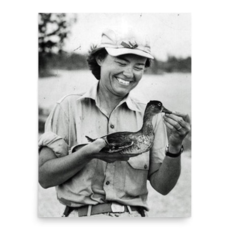 Elizabeth Losey poster print, in size 18x24 inches.