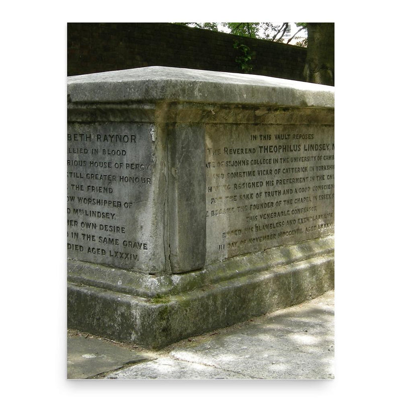 Elizabeth Rayner poster print, in size 18x24 inches.