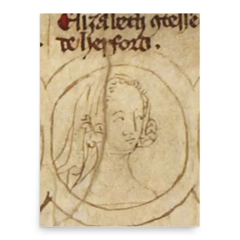 Elizabeth of Rhuddlan poster print, in size 18x24 inches.