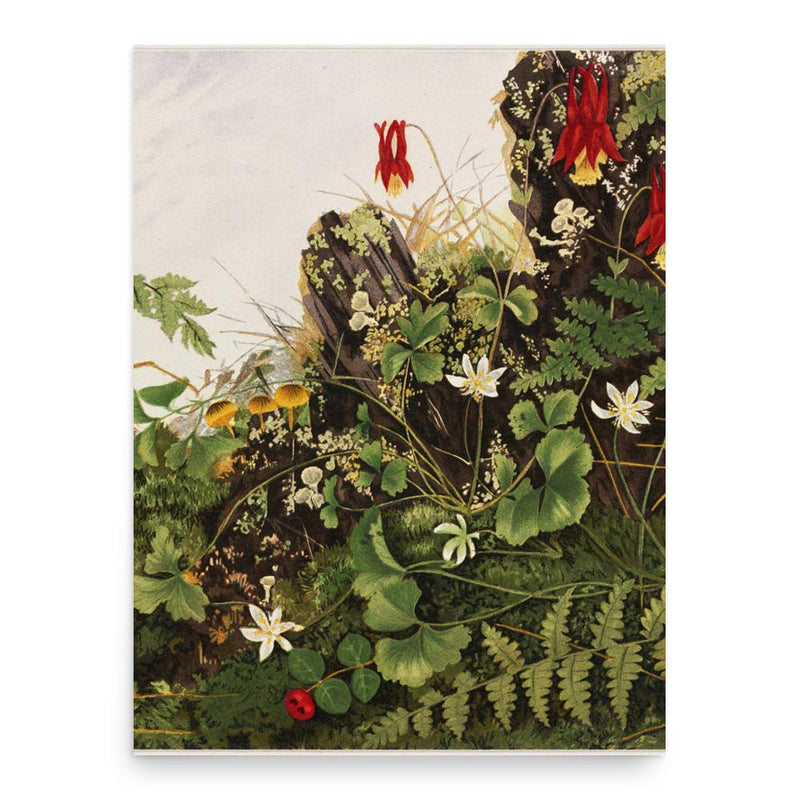 Ellen Robbins poster print, in size 18x24 inches.