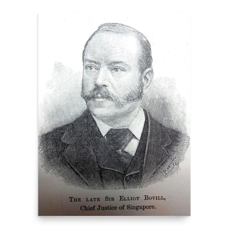 Elliot Bovill poster print, in size 18x24 inches.