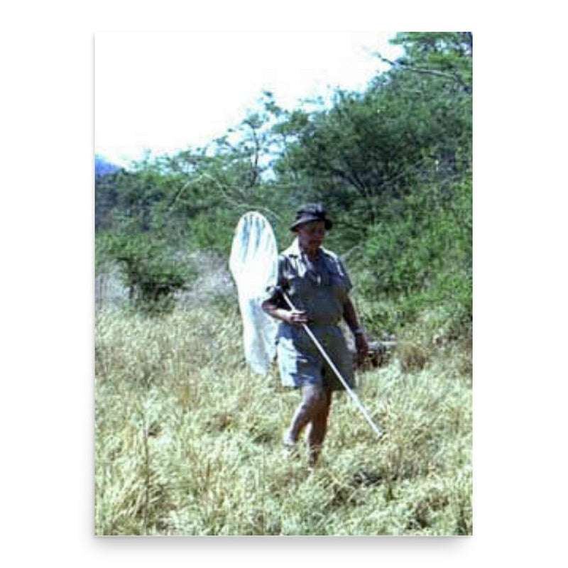 Elliot Pinhey poster print, in size 18x24 inches.