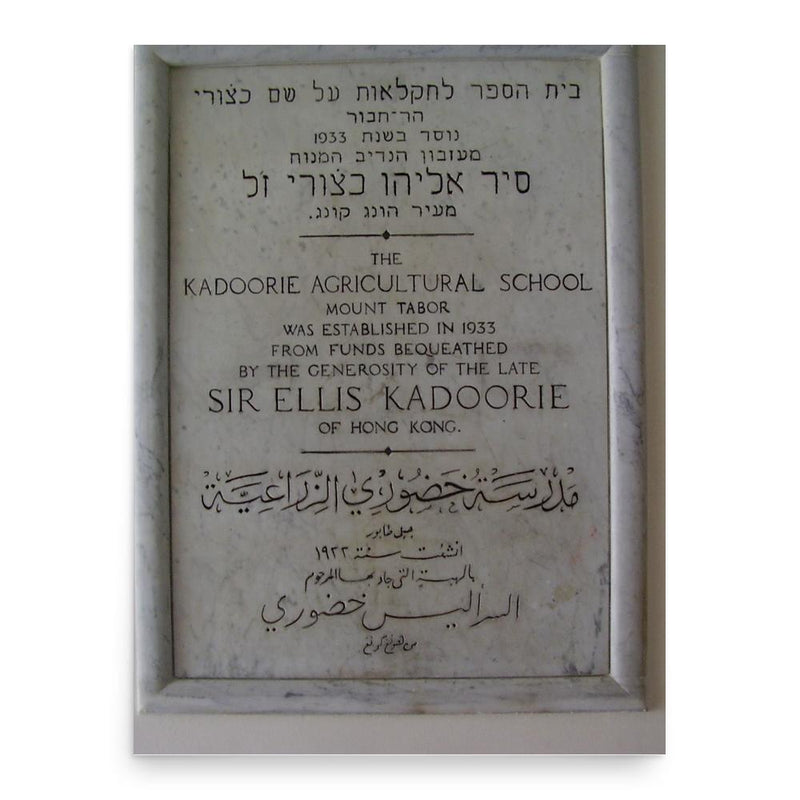 Ellis Kadoorie poster print, in size 18x24 inches.