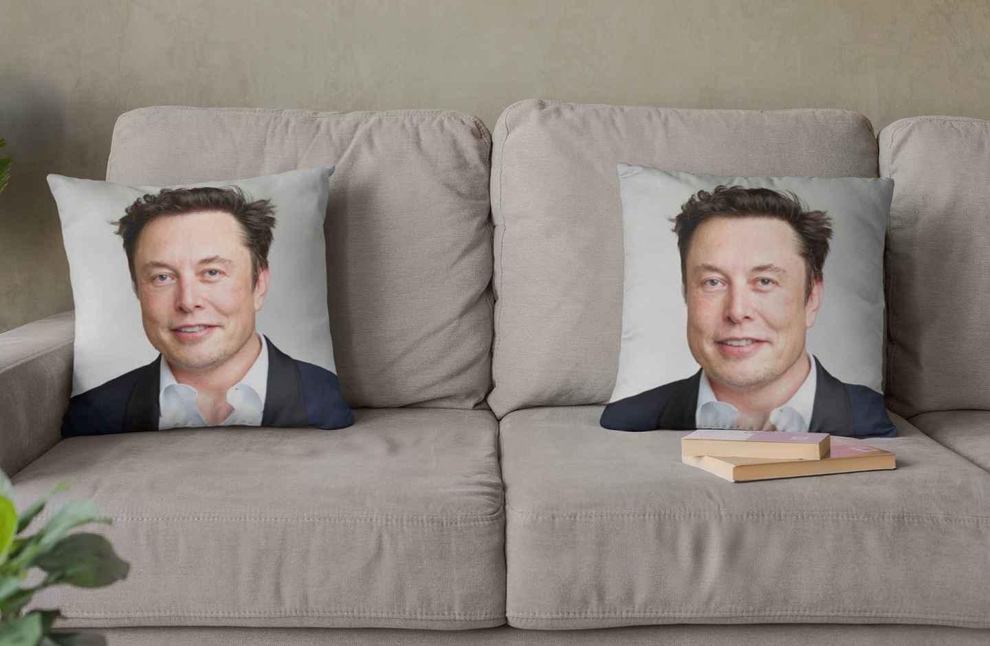 Two Elon Musk pillows positioned at opposite ends of a sofa.