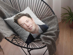 Elon Musk pillowplaced on a modern basket-style chair.