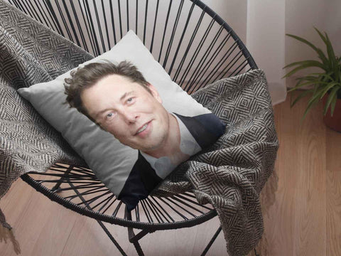 Image of Elon Musk pillowplaced on a modern basket-style chair.