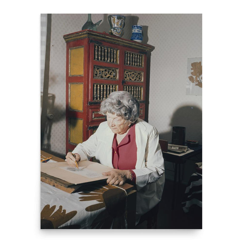 Elsa Arokallio poster print, in size 18x24 inches.