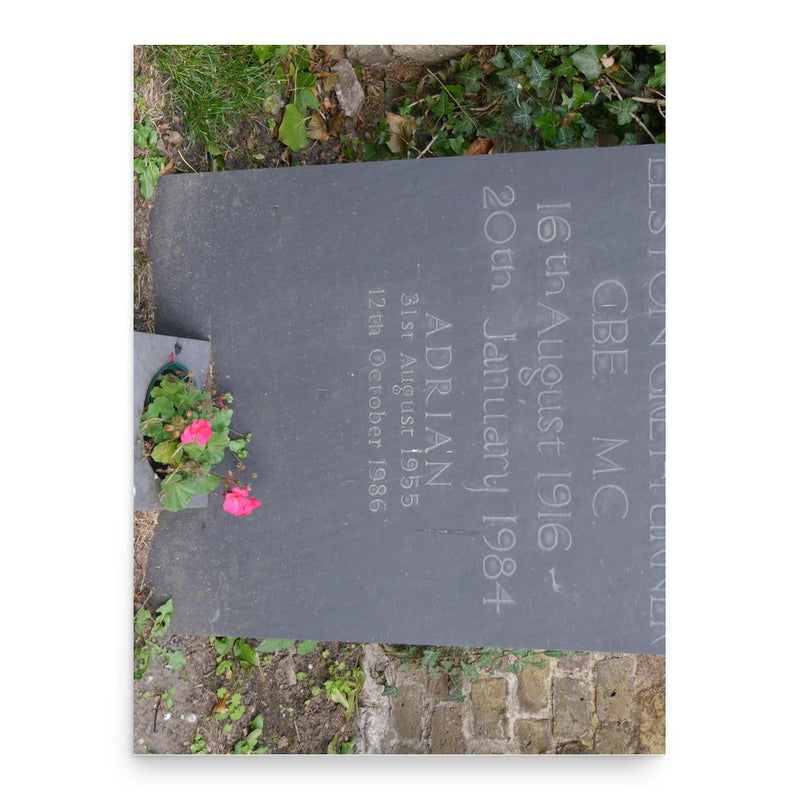 Elston Grey-Turner poster print, in size 18x24 inches.