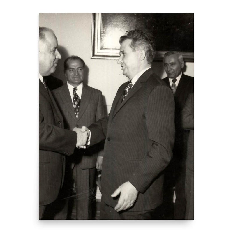 Emil Bobu poster print, in size 18x24 inches.