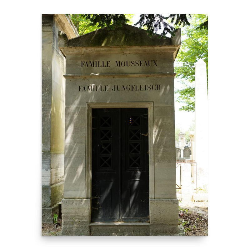 Emil Jungfleisch poster print, in size 18x24 inches.