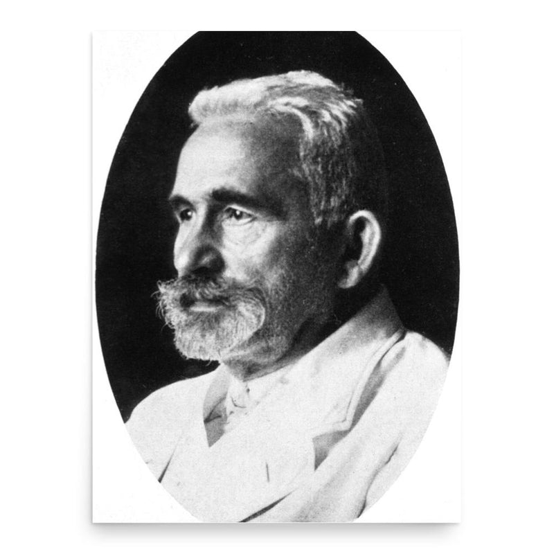 Emil Kraepelin poster print, in size 18x24 inches.