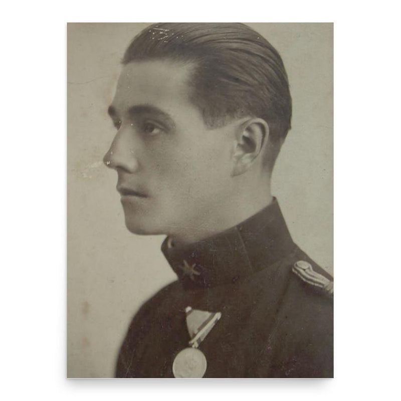 Emil Rebreanu poster print, in size 18x24 inches.