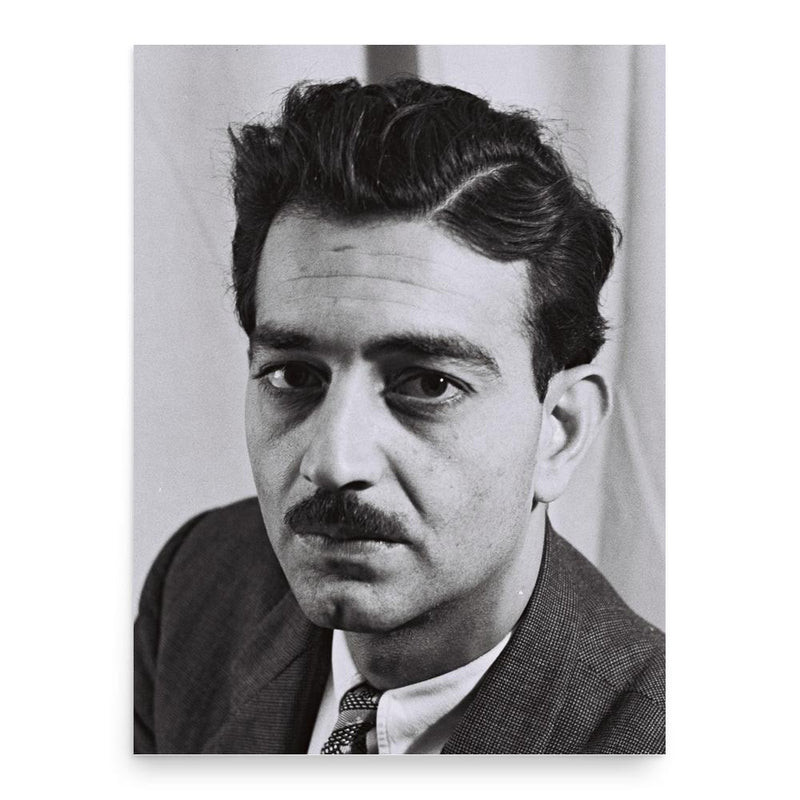 Emile Habibi poster print, in size 18x24 inches.