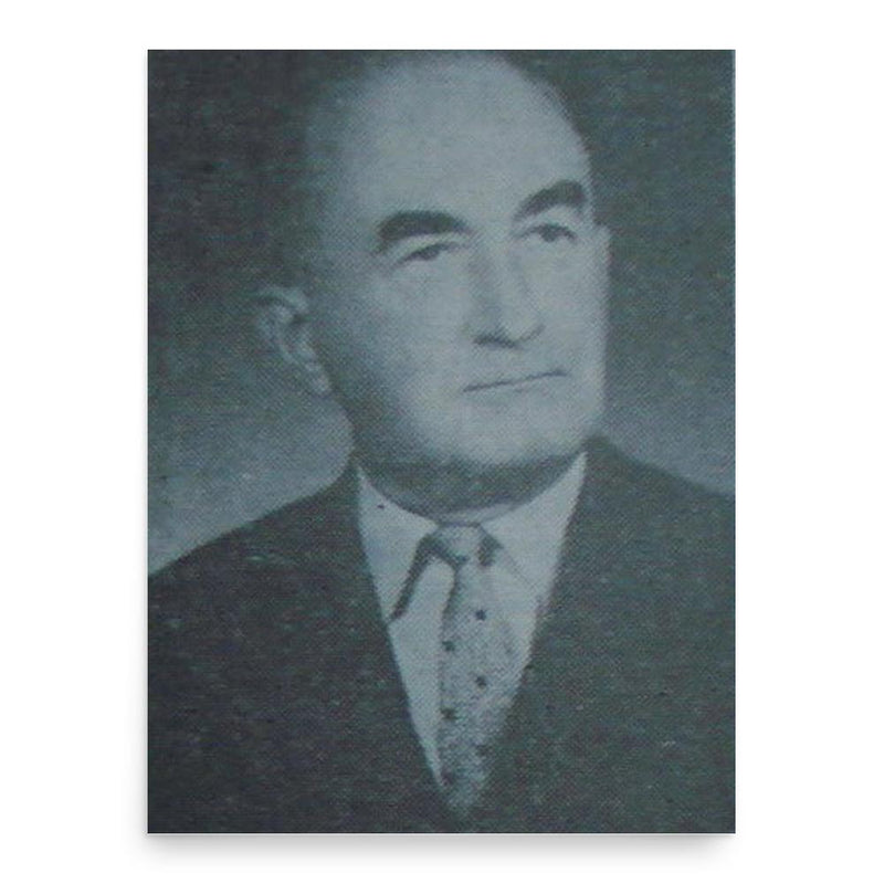 Emilian Bratu poster print, in size 18x24 inches.