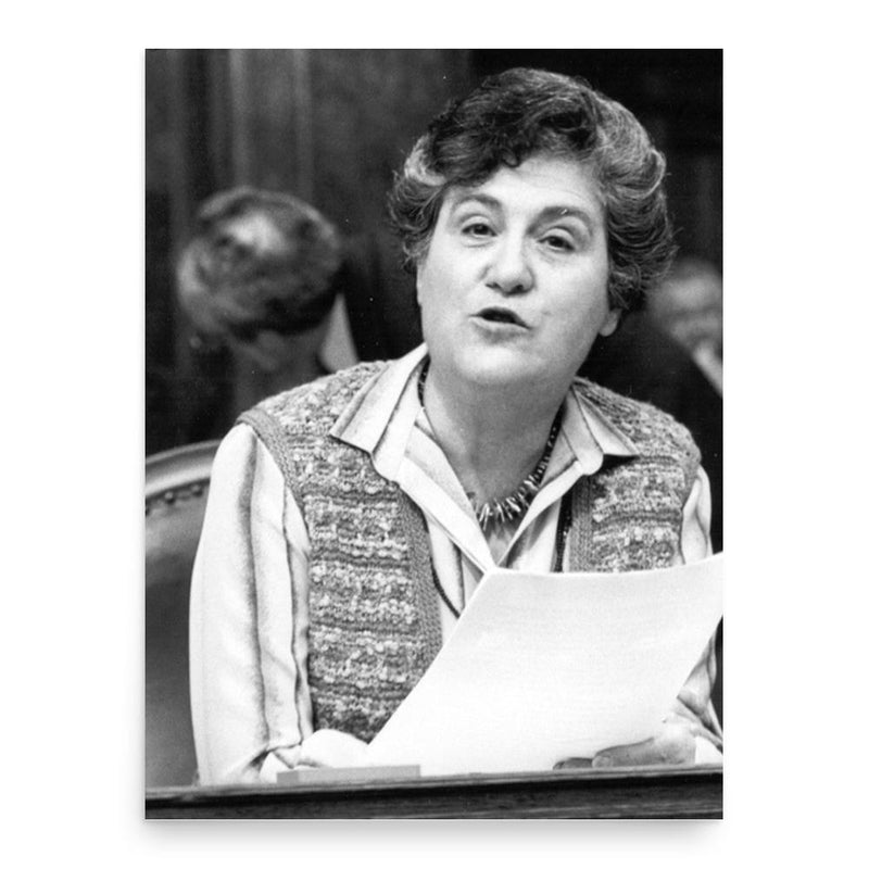 Emilie Lieberherr poster print, in size 18x24 inches.