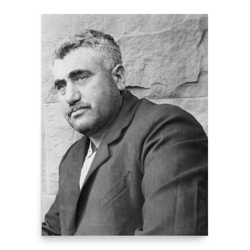 Emilio Picariello poster print, in size 18x24 inches.