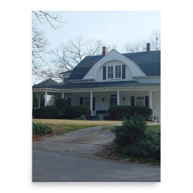 Emily Dolvin poster print, in size 18x24 inches.