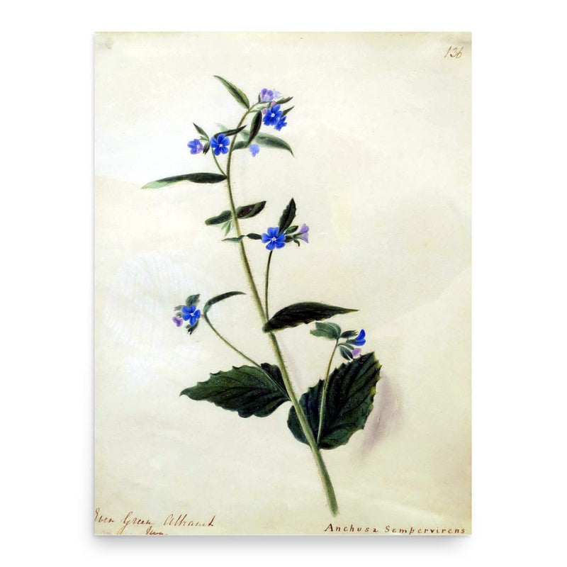 Emily Stackhouse poster print, in size 18x24 inches.