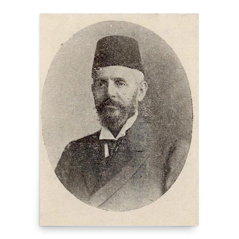 Emmanuel Carasso poster print, in size 18x24 inches.