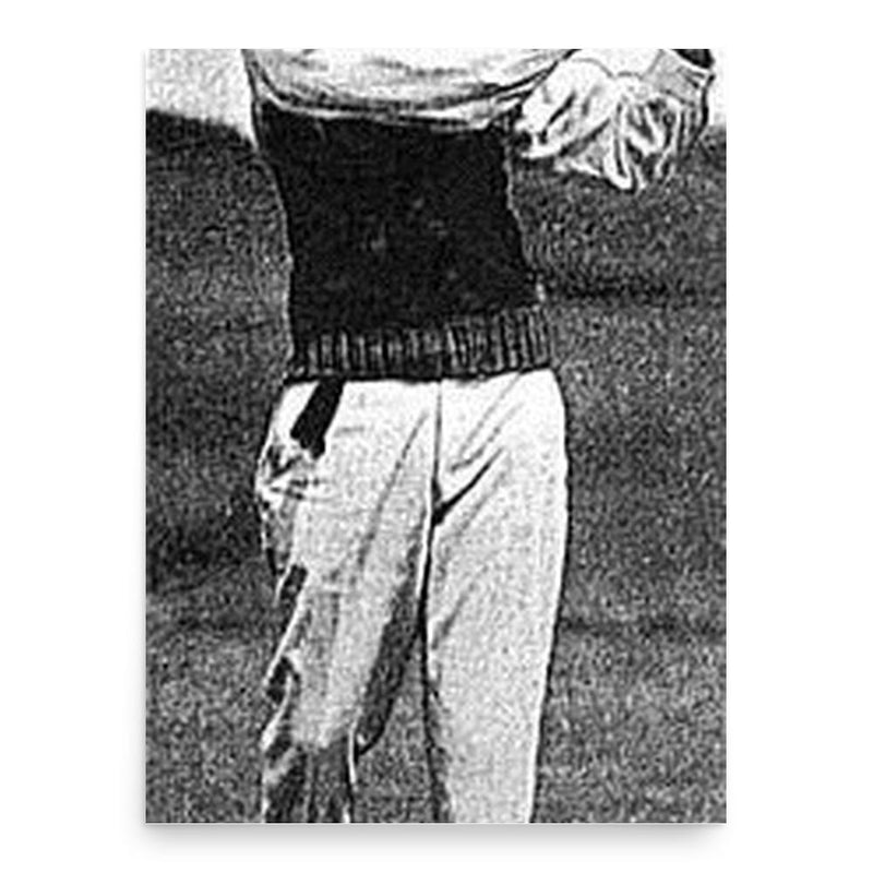 Emmet French poster print, in size 18x24 inches.