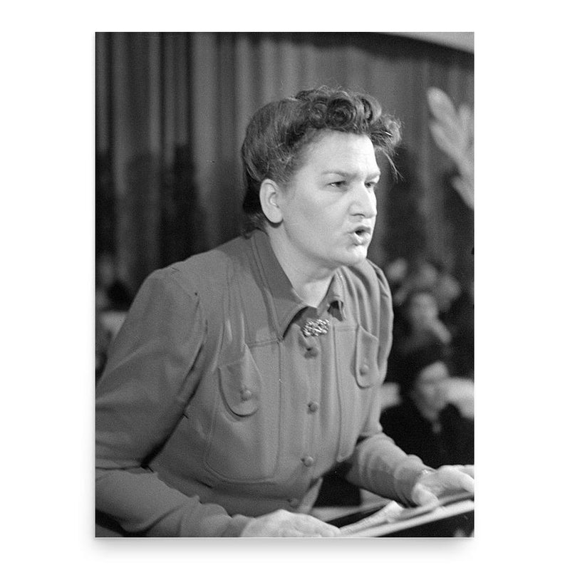 Emmy Damerius-Koenen poster print, in size 18x24 inches.