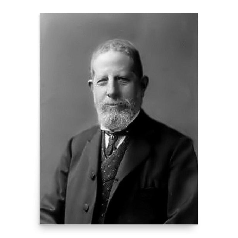 Enrico Castelnuovo poster print, in size 18x24 inches.