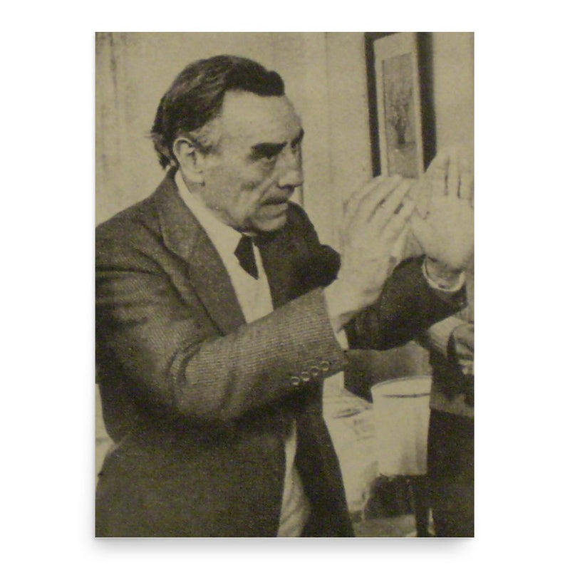 Enrique Cahen Salaberry poster print, in size 18x24 inches.