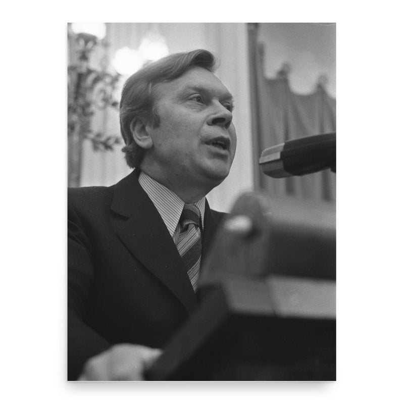 Ep Wieldraaijer poster print, in size 18x24 inches.