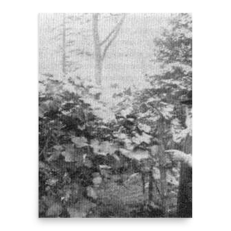 Ephraim Wales Bull poster print, in size 18x24 inches.