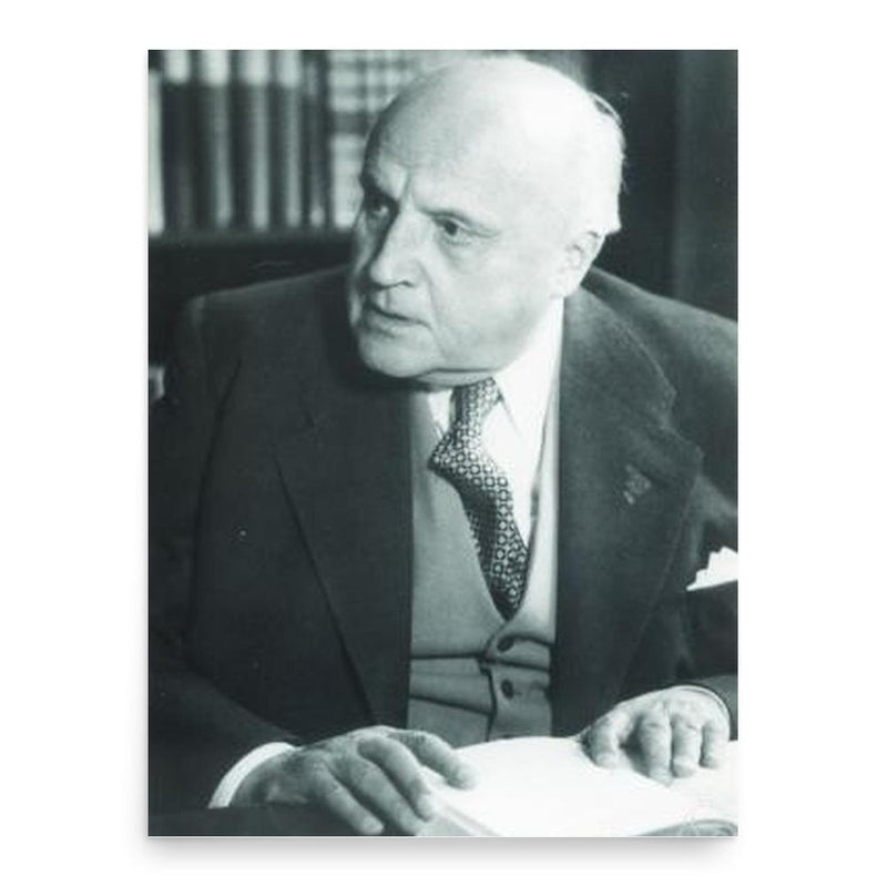 Erhard Schmidt poster print, in size 18x24 inches.