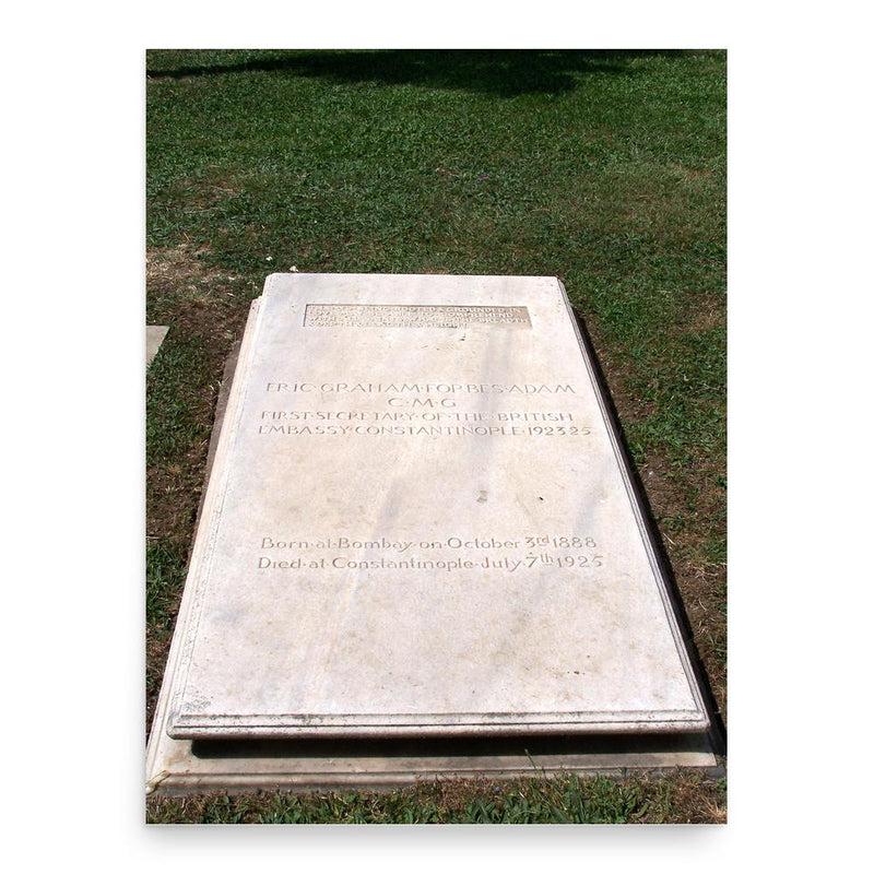 Eric Forbes Adam poster print, in size 18x24 inches.