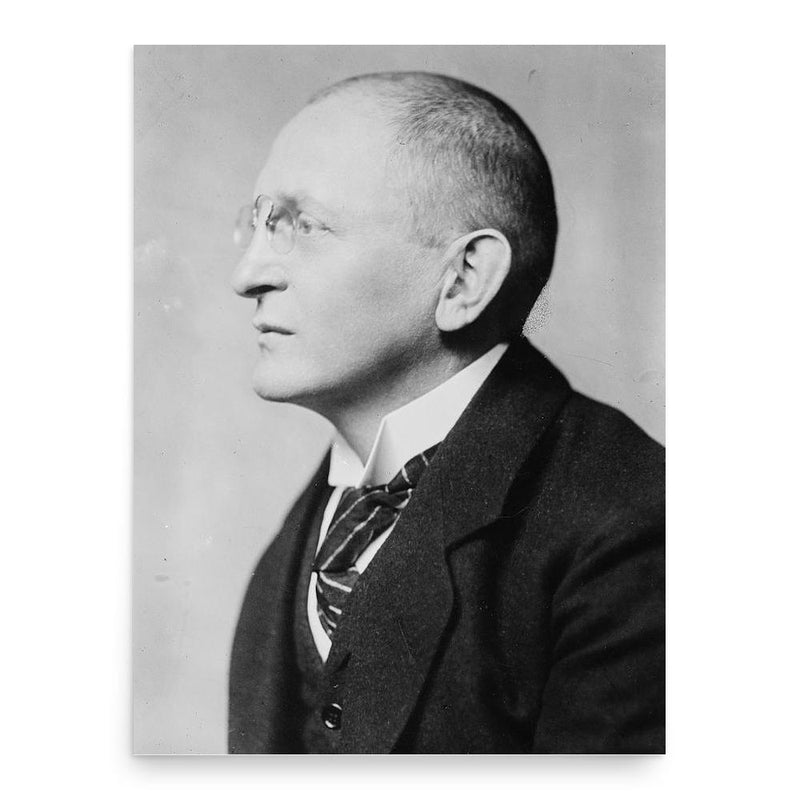 Erich Koch-Weser poster print, in size 18x24 inches.