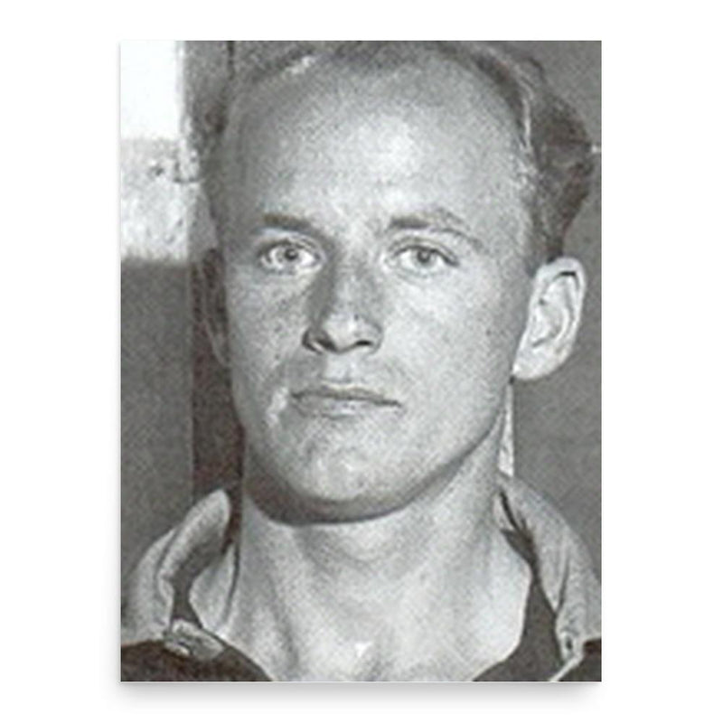 Erik Almgren poster print, in size 18x24 inches.