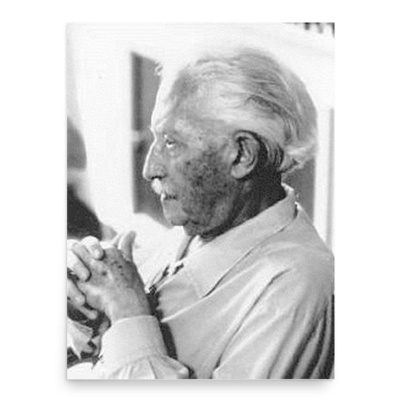 Erik Erikson poster print, in size 18x24 inches.