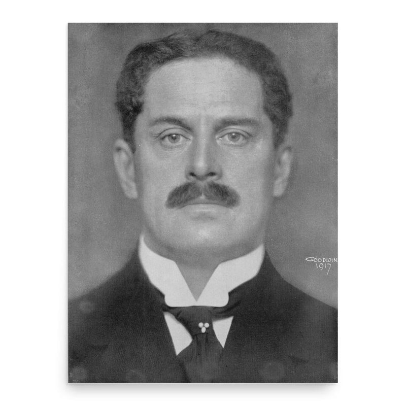 Erik Palmstierna poster print, in size 18x24 inches.