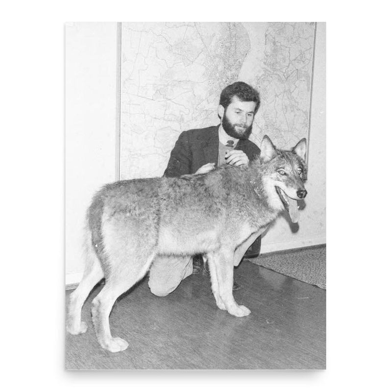 Erik Zimen poster print, in size 18x24 inches.