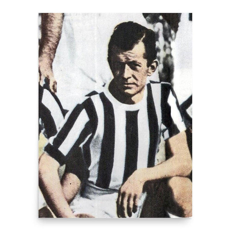 Ermes Muccinelli poster print, in size 18x24 inches.