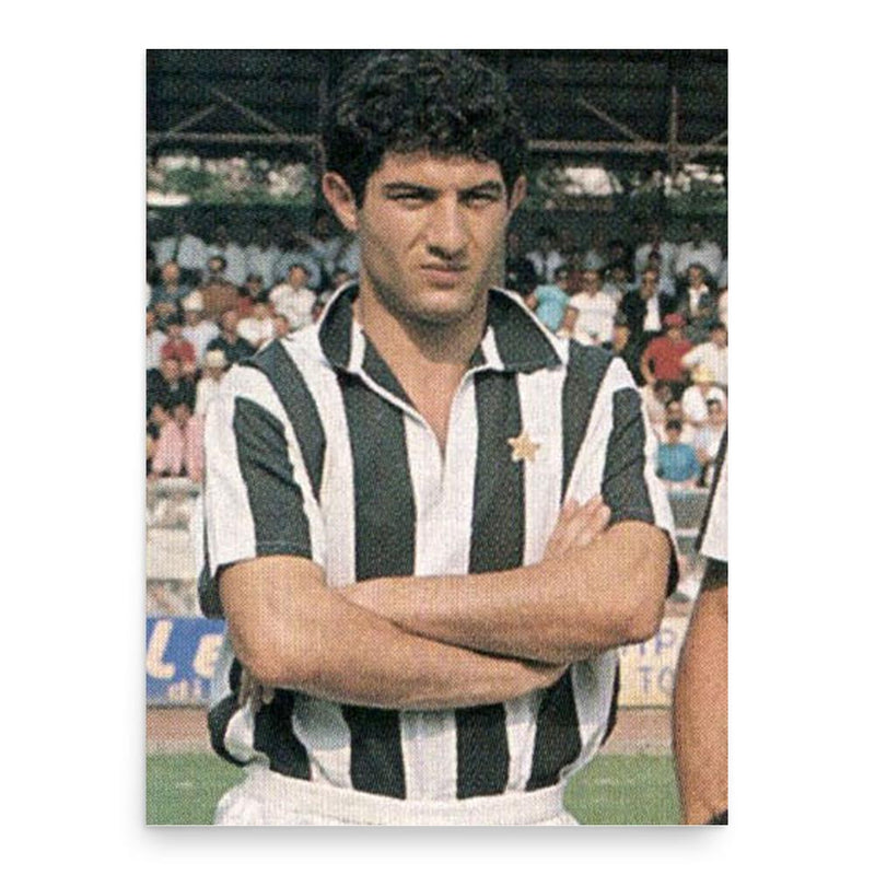 Erminio Favalli poster print, in size 18x24 inches.