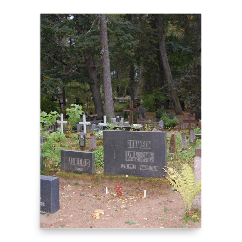 Erna Viitol poster print, in size 18x24 inches.