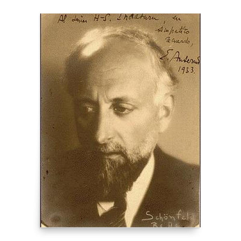 Ernest Ansermet poster print, in size 18x24 inches.