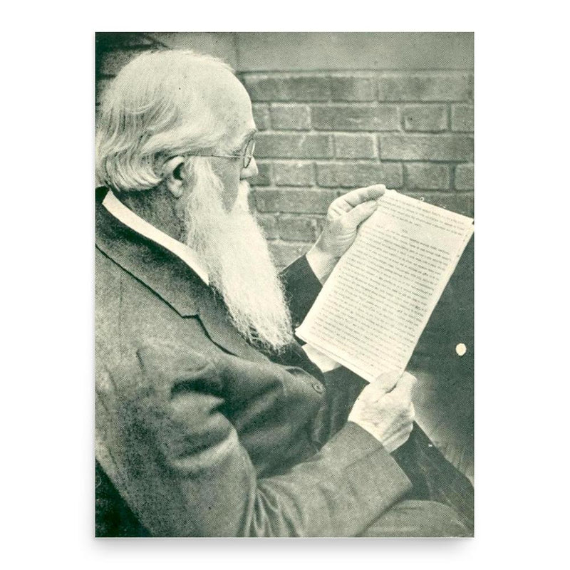 Ernest Vincent Wright poster print, in size 18x24 inches.