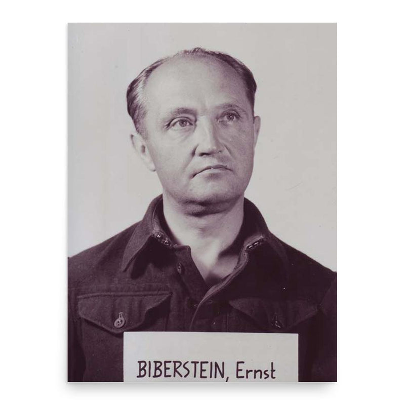 Ernst Biberstein poster print, in size 18x24 inches.