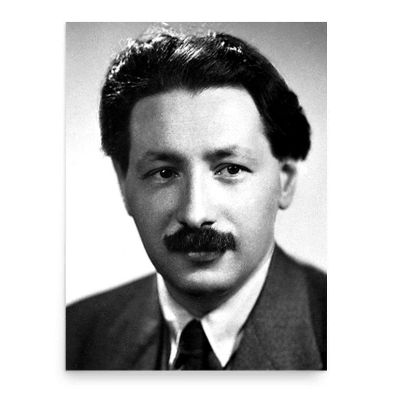 Ernst Chain poster print, in size 18x24 inches.