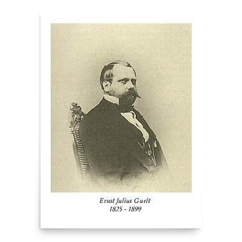 Ernst Julius Gurlt poster print, in size 18x24 inches.