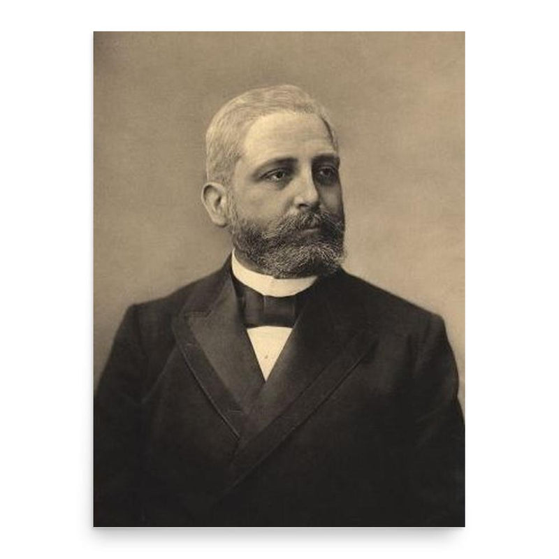 Ernst Remak poster print, in size 18x24 inches.