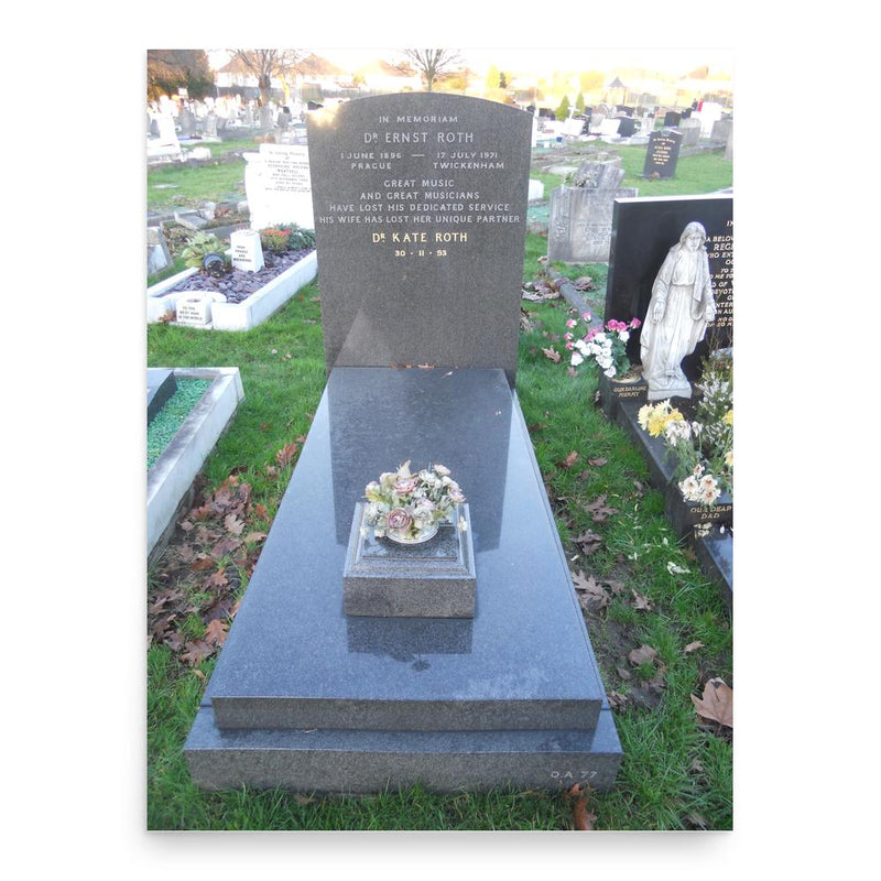 Ernst Roth poster print, in size 18x24 inches.